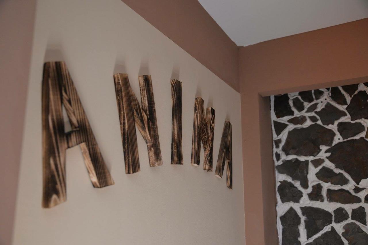 Pensiunea Anina Bagian luar foto